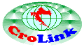  Croatian Business Link 
